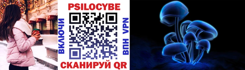 Галлюциногенные грибы Psilocybine cubensis  Чехов 